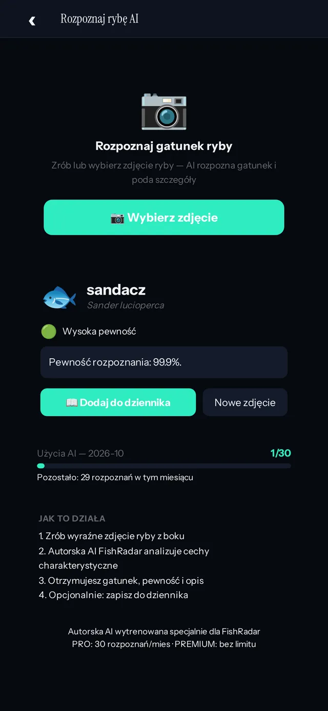 Rozpoznawanie ryby w FishRadar: sandacz, wysoka pewność