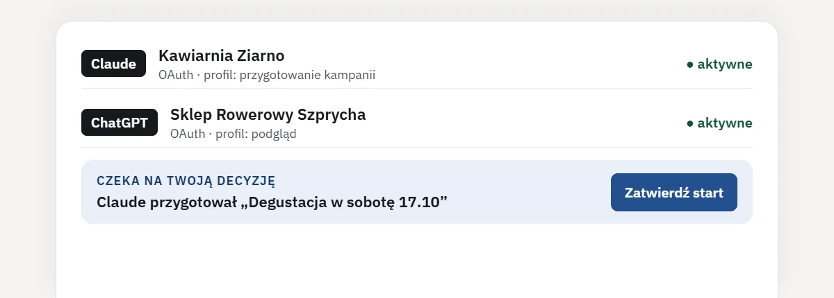 Połączenia AI per marka i kampania przygotowana przez Claude czekająca na zatwierdzenie startu