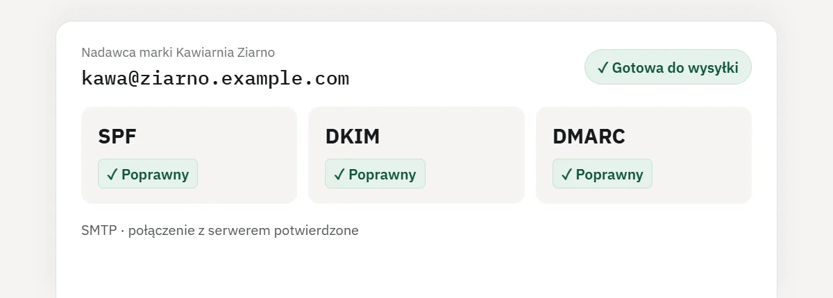 Status wpisów DNS domeny marki: SPF, DKIM i DMARC poprawne