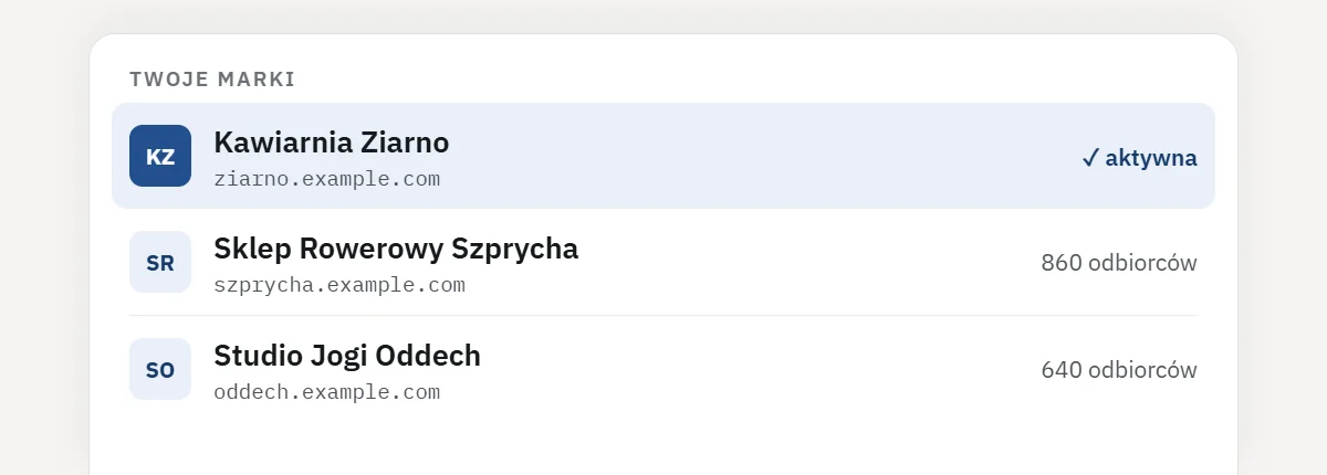 Lista marek: Kawiarnia Ziarno, Sklep Rowerowy Szprycha, Studio Jogi Oddech — każda z własną domeną